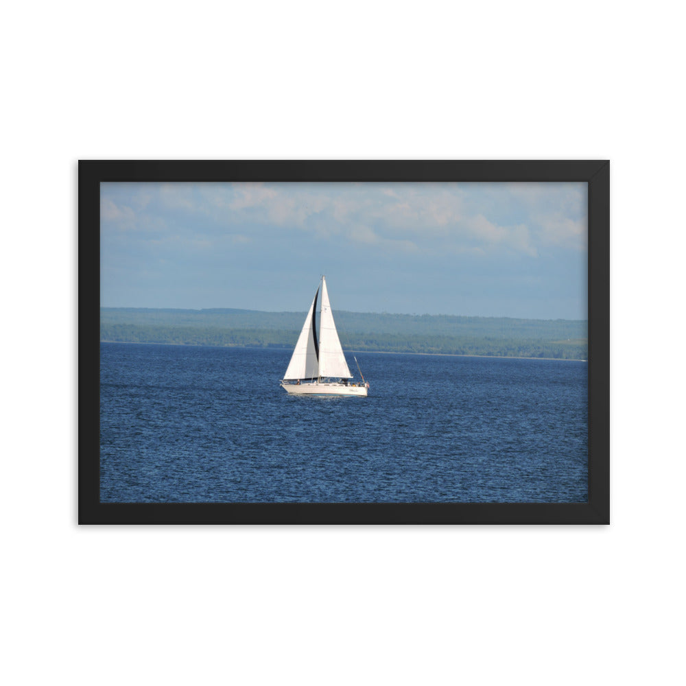 White Sailboat Framed poster