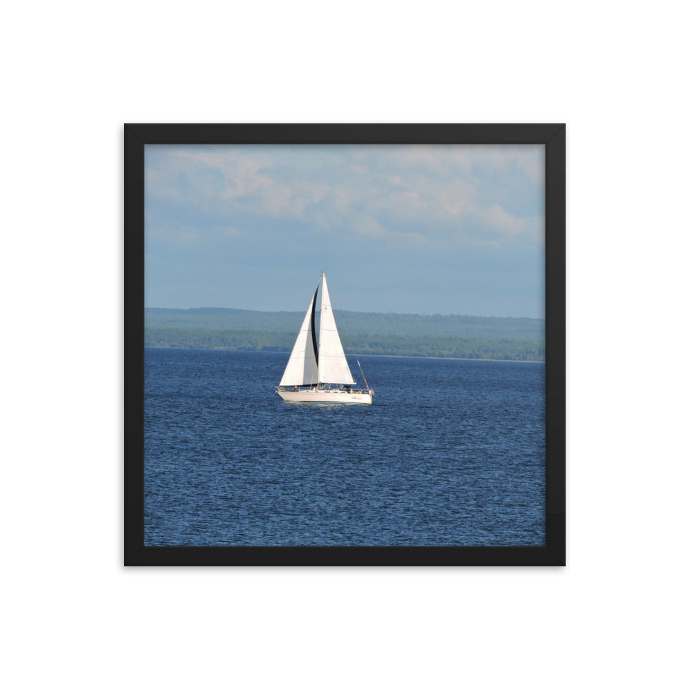 White Sailboat Framed poster