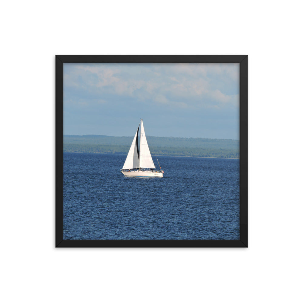 White Sailboat Framed poster