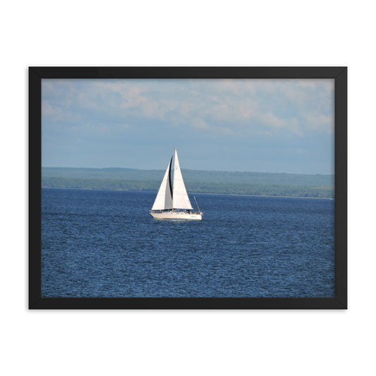 White Sailboat Framed poster