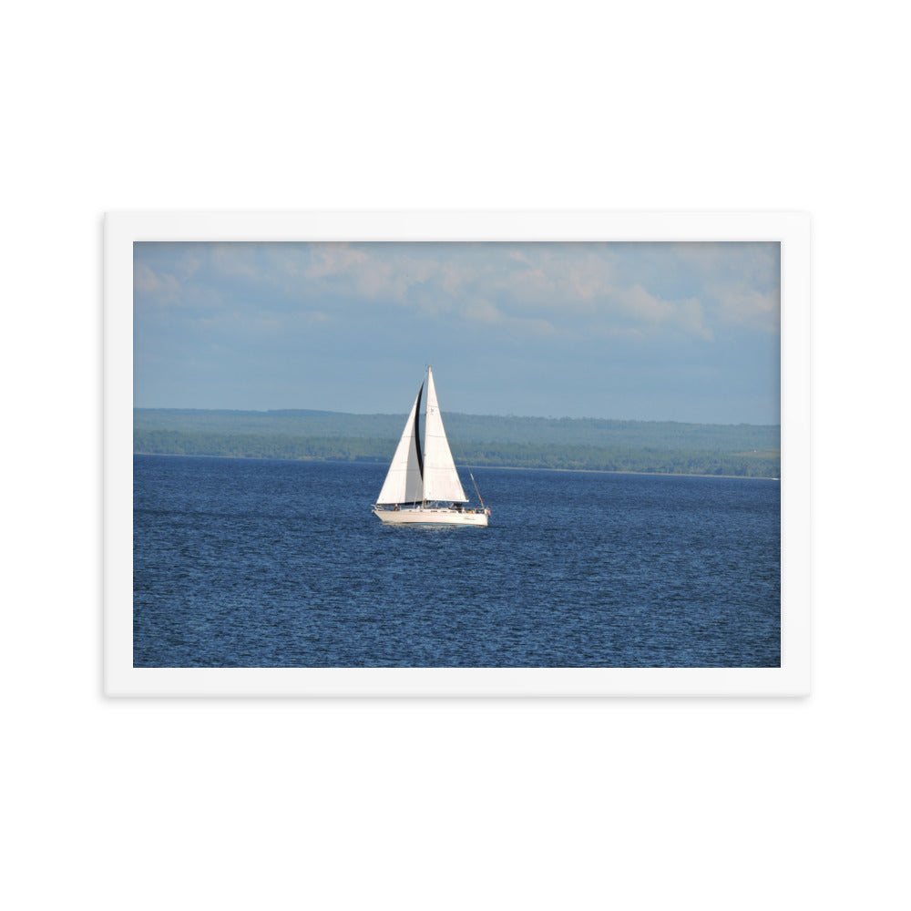 White Sailboat Framed poster