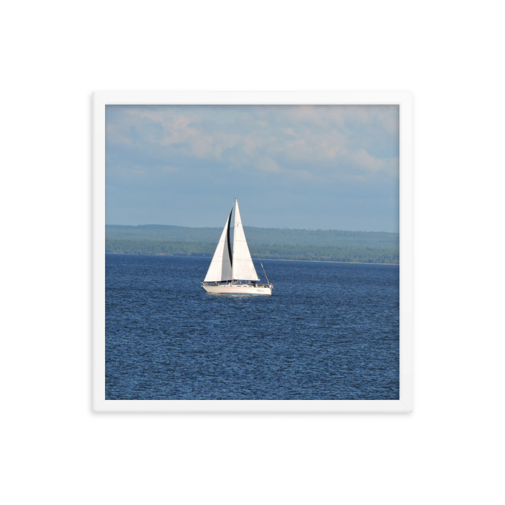 White Sailboat Framed poster